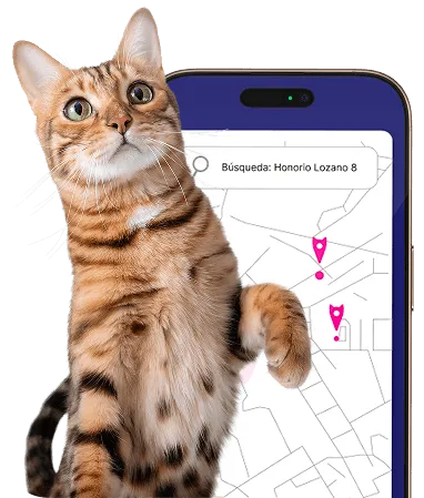 Cat colony app for municipal management of cat colonies through the TNR method