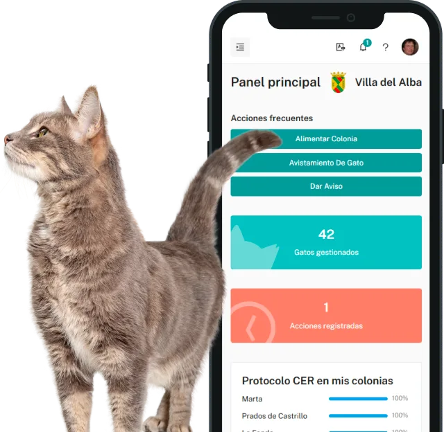 Meow Metrics - Software control de colonias felinas