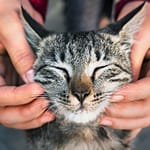 Juan Manuel Perez 12