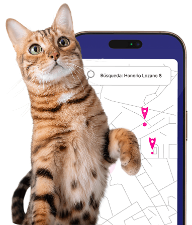 App colonias felinas para la gestión municipal de colonias de gatos mediante CER