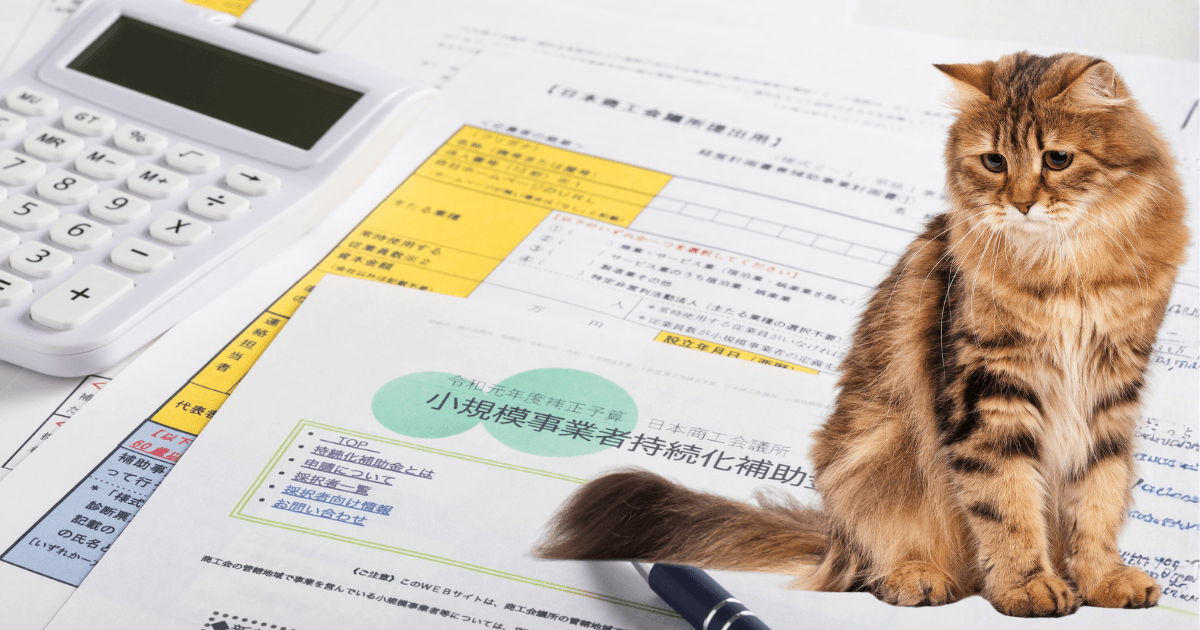 Subvenciones DGDA 2026 ayuntamientos: cómo solicitarla en minutos con Meow Metrics